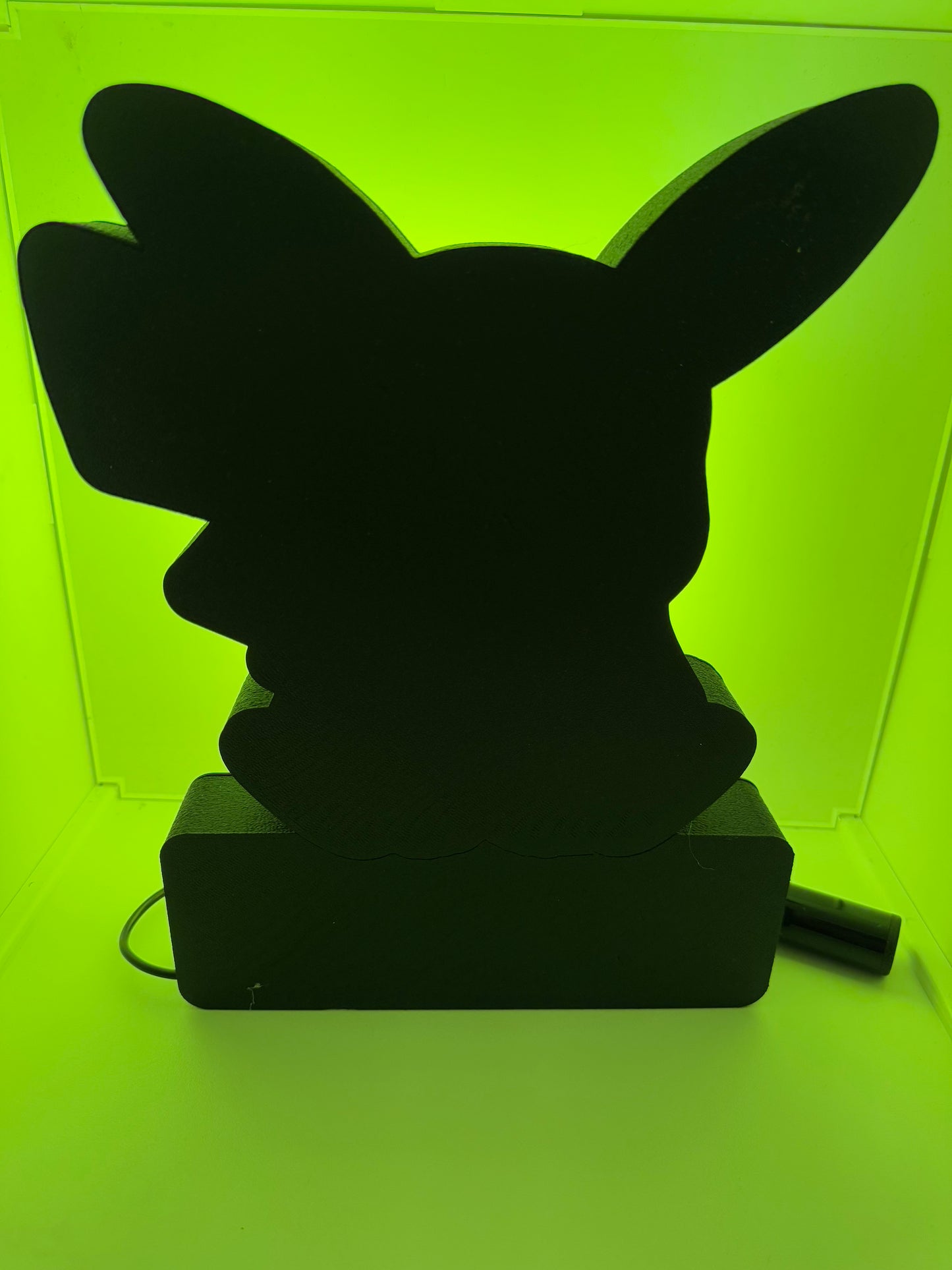 LedBOX RGB MICKEY oder NAME