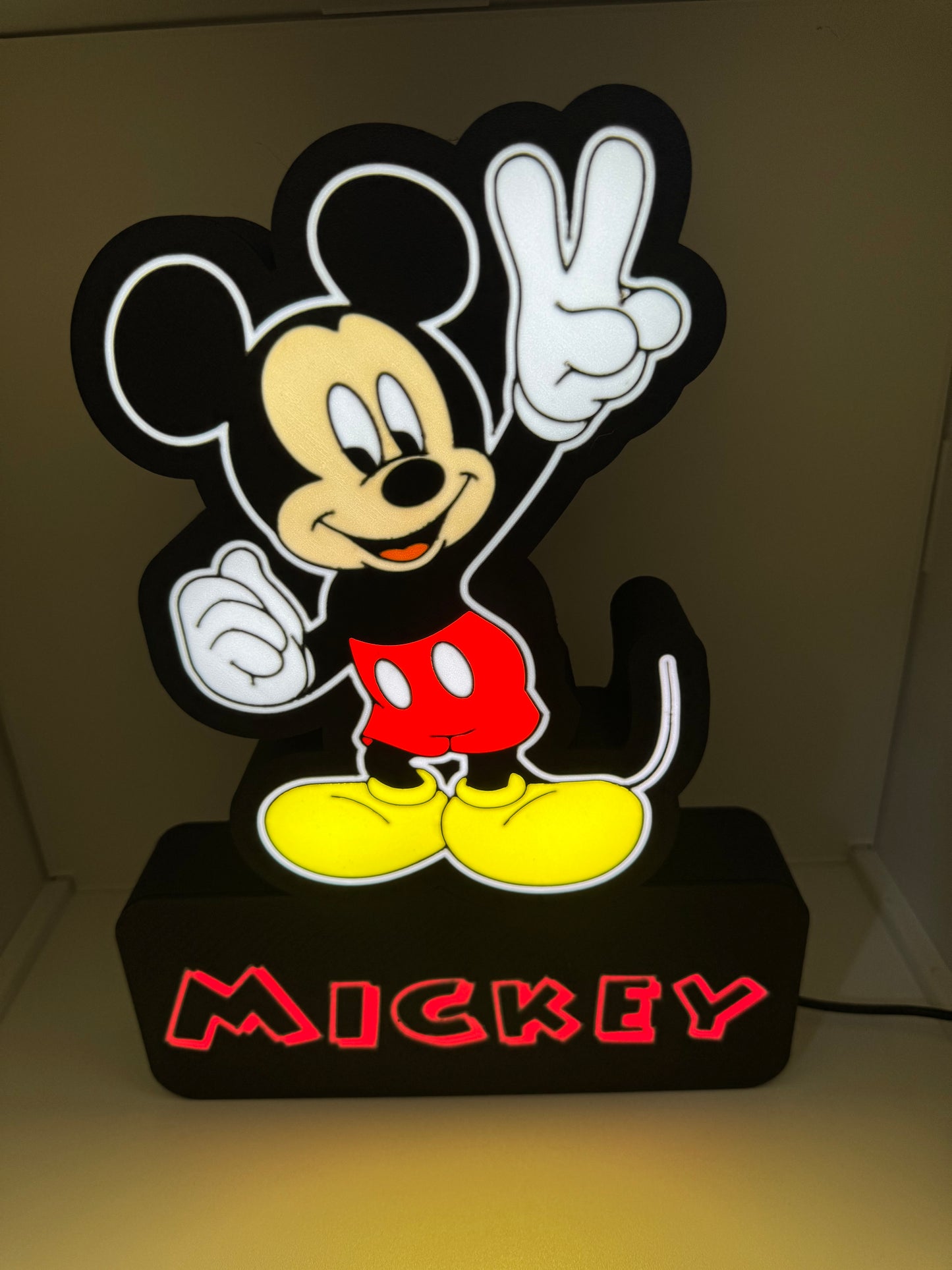 LedBOX RGB MICKEY oder NAME