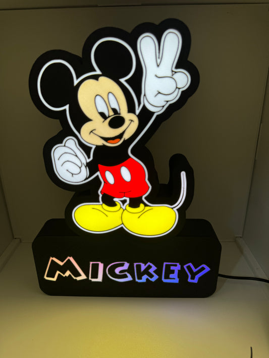 LedBOX RGB MICKEY oder NAME